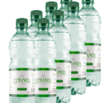 Rymanów Zdrój - woda źródlana niegazowana - 0,5 l x 8 szt.