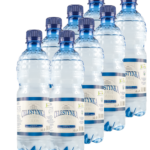 Celestynka - woda stołowa gazowana - 0,5l x 8 szt.